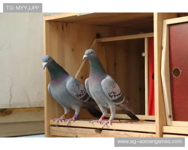 AG真人厅会员注册步骤和技巧全攻略轻松搞定注册难题 AG真人厅会员注册步骤和技巧全攻略轻松搞定注册难题