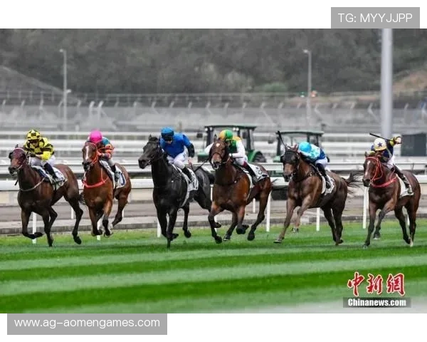 关注澳门赛马最新消息掌握赛事时间变化与重要赛事安排细节