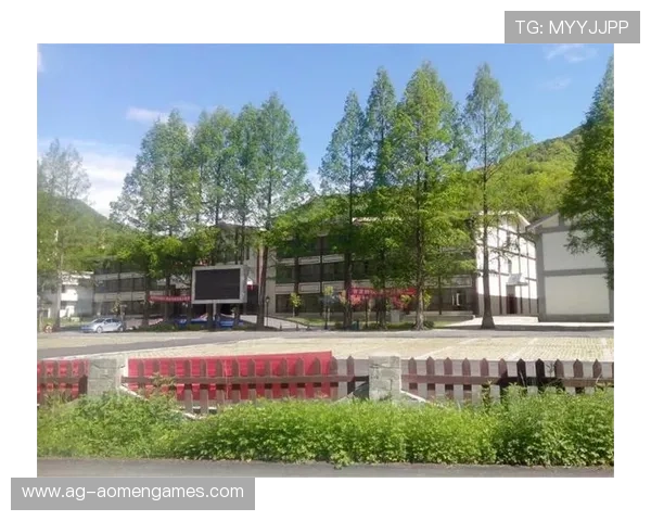 大阳城地址登录入口全面介绍及常见问题解决方案